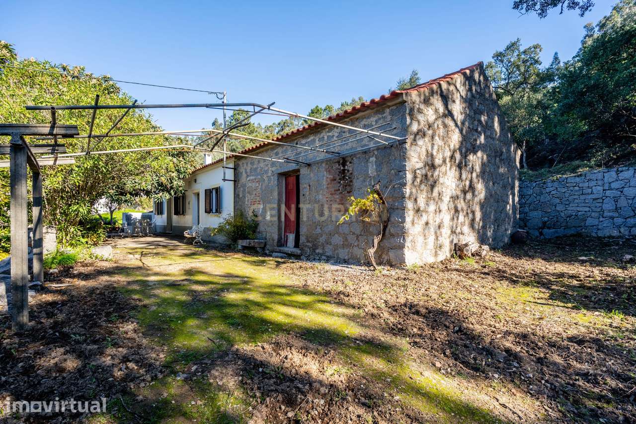 Moradia T3 na Serra de Monchique com Ambiente Rural e Privacidade Tota - Grande imagem: 5/40