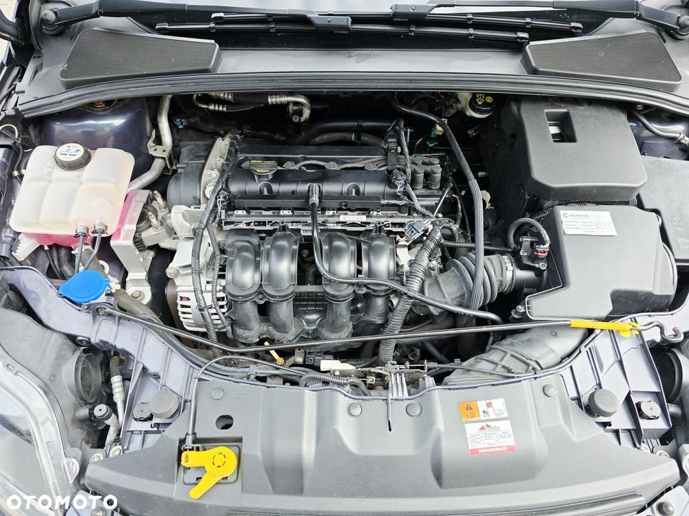Ford Focus 1.6 TI-VCT Titanium - 23