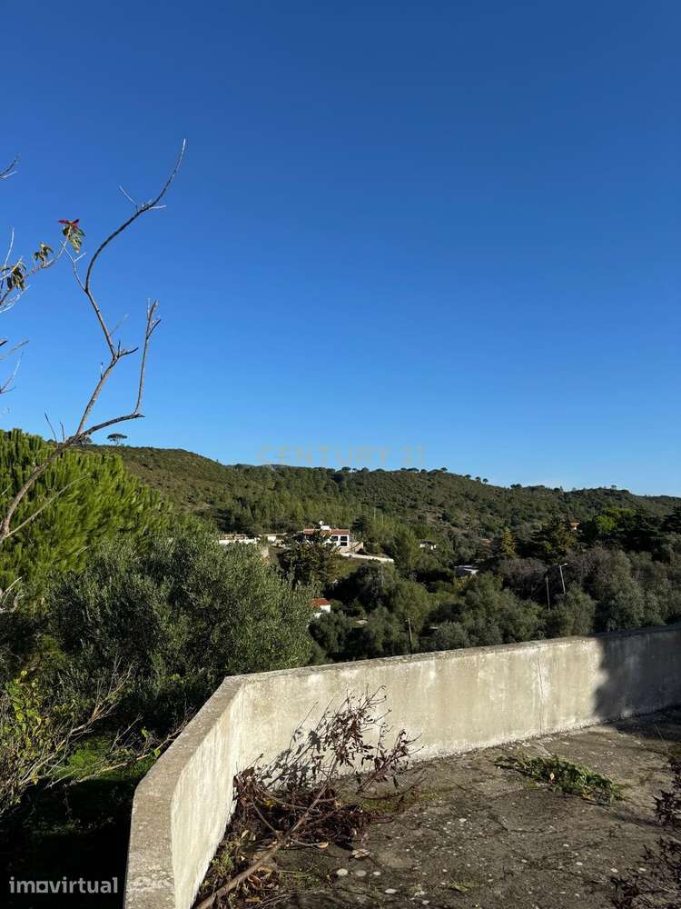 Quinta de 3.500 m2 na Serra da Arrábida - Grande imagem: 3/17
