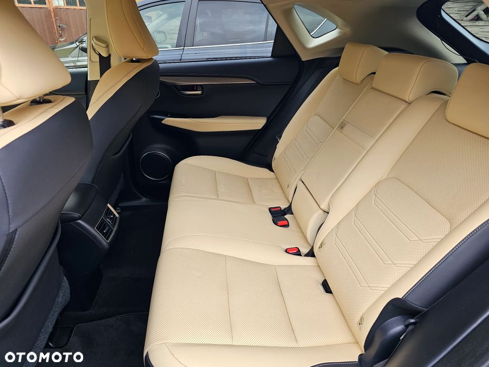 Lexus NX 300h Elegance 2WD - 17