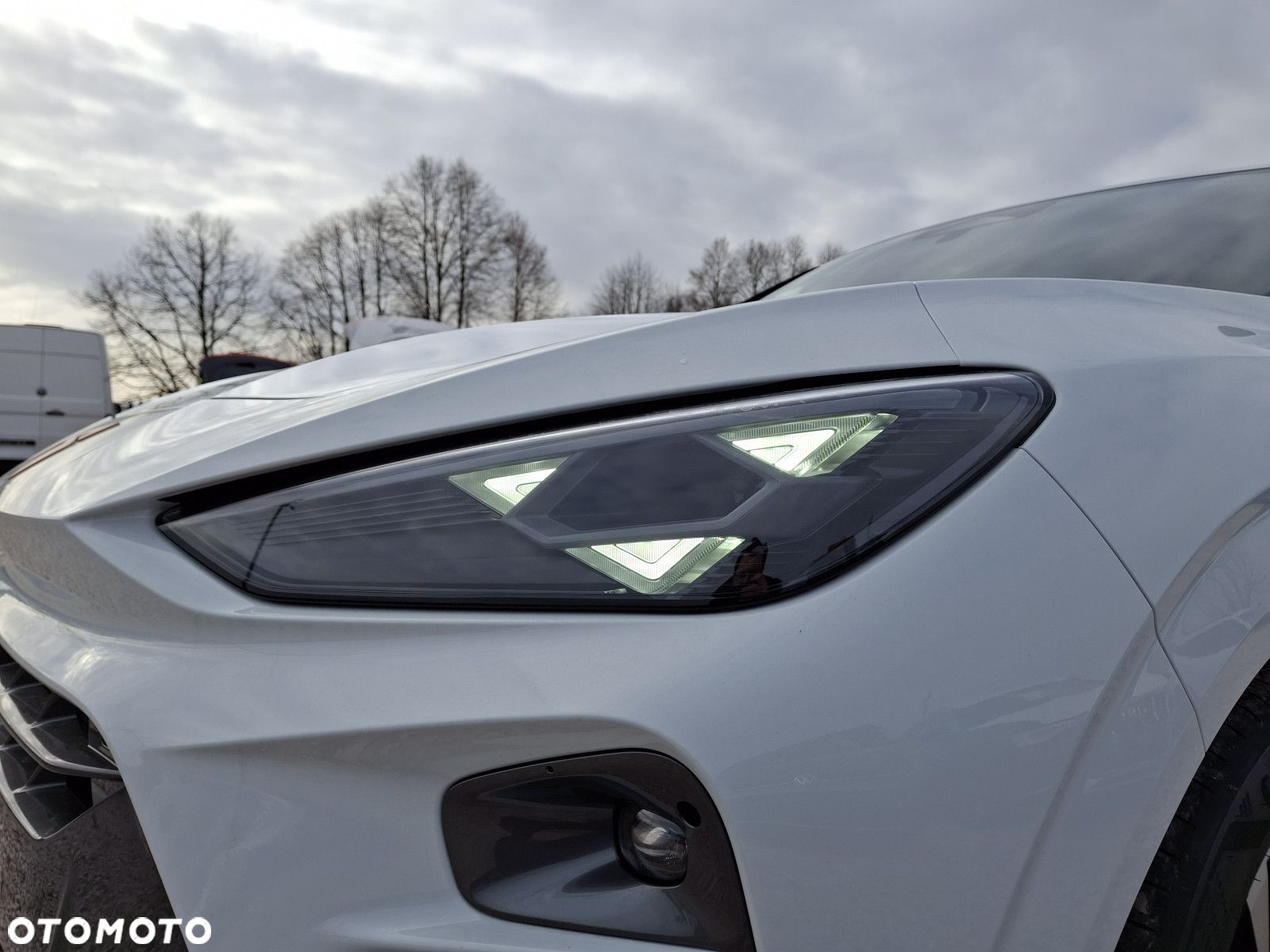 Cupra Terramar - 7