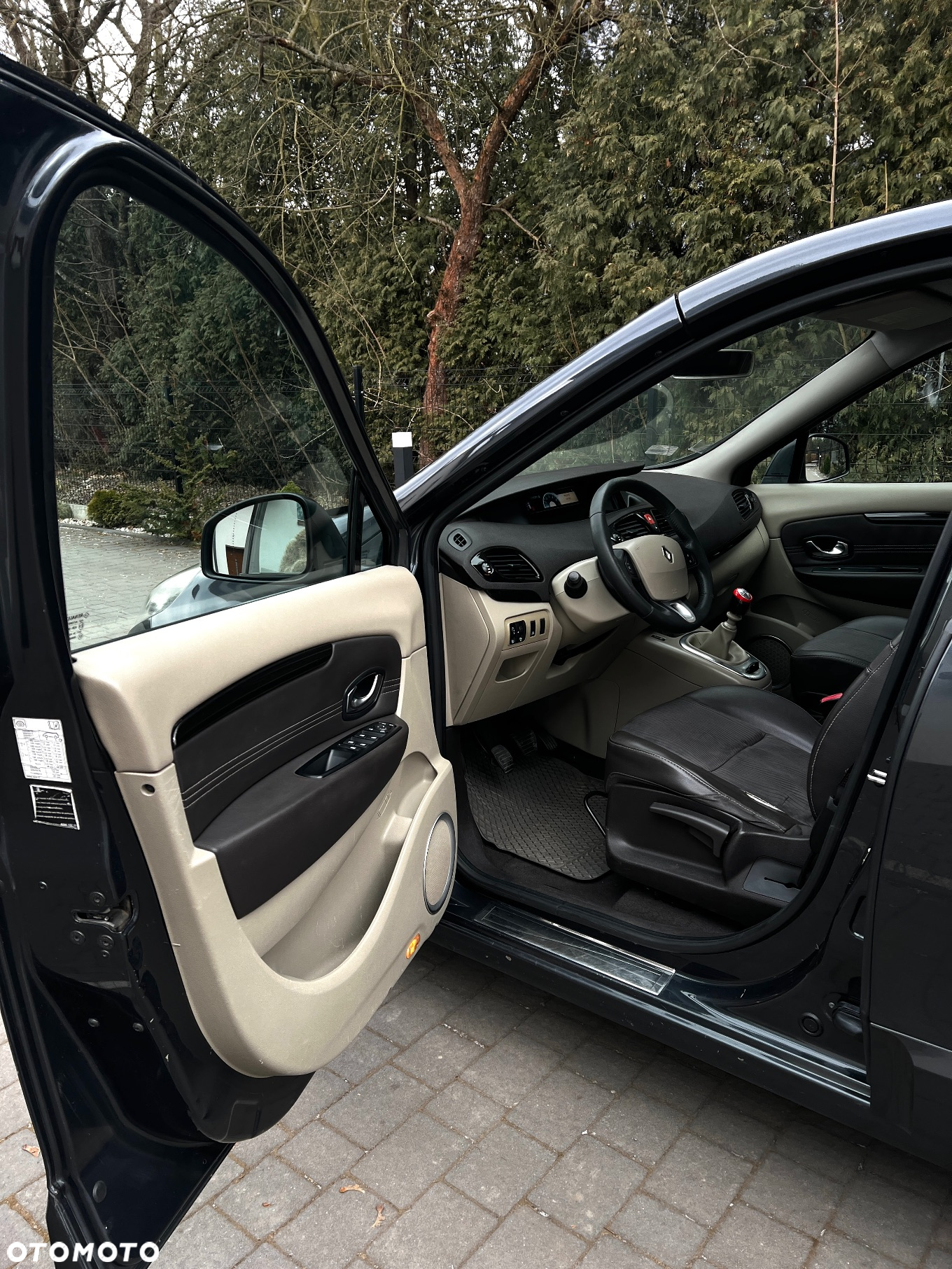 Renault Scenic - 14