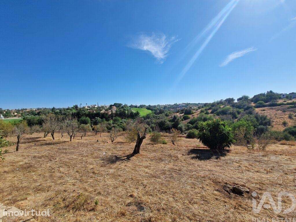 Quinta T4 em Estômbar e Parchal de 70,00 m2 - Grande imagem: 4/29