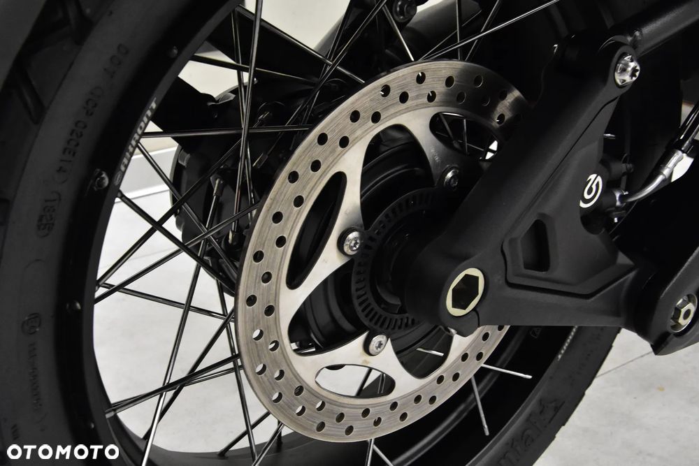 Triumph Tiger - 41