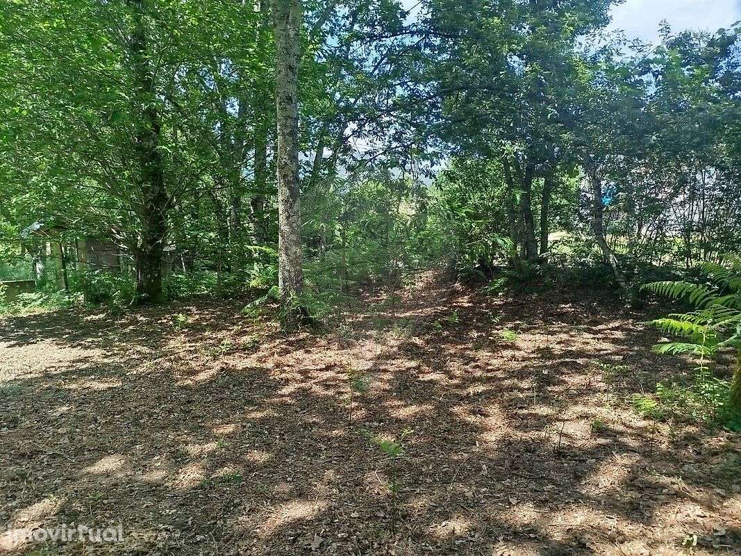 Terreno  para venda - Grande imagem: 4/20