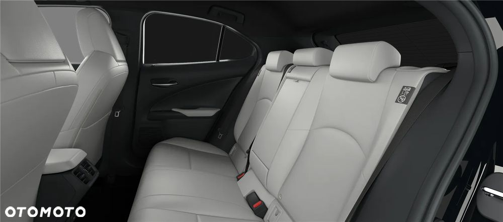 Lexus UX 300h F Sport Design AWD - 9