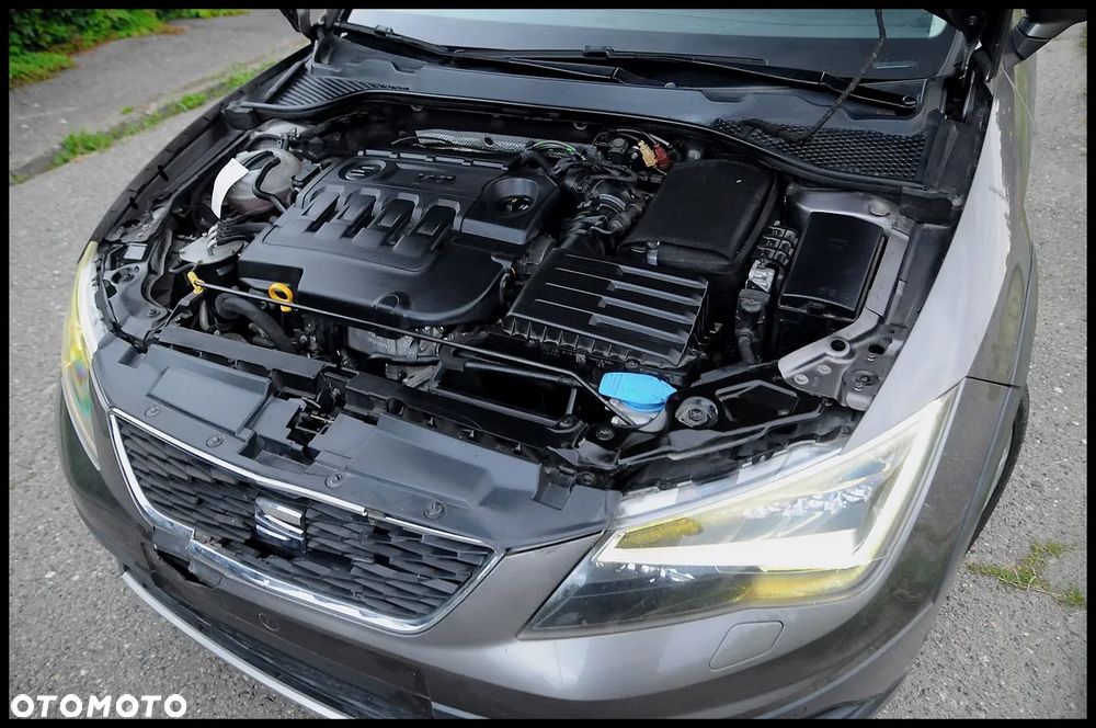 Seat Leon - 24