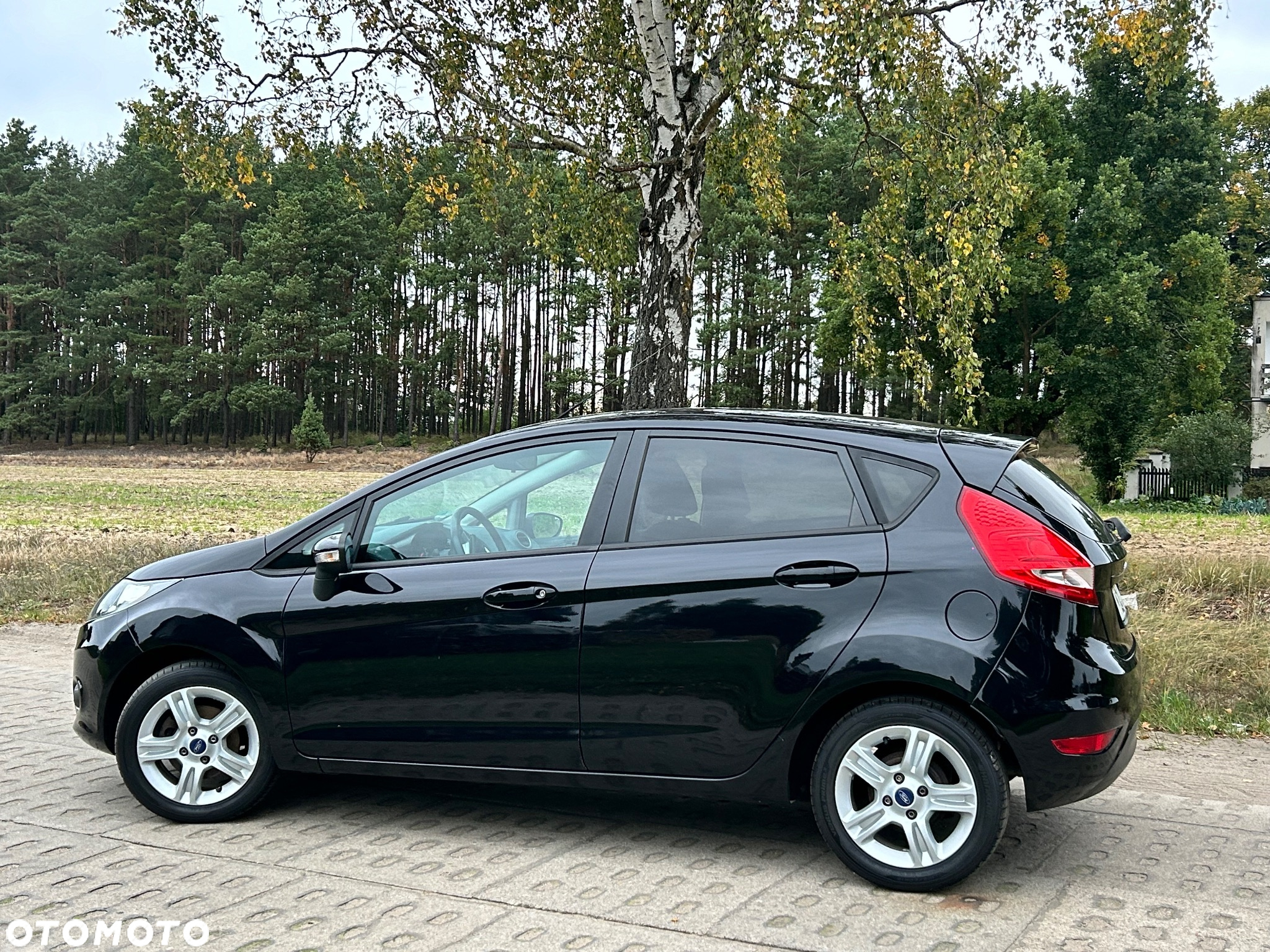 Ford Fiesta 1.25 Platinium X - 8