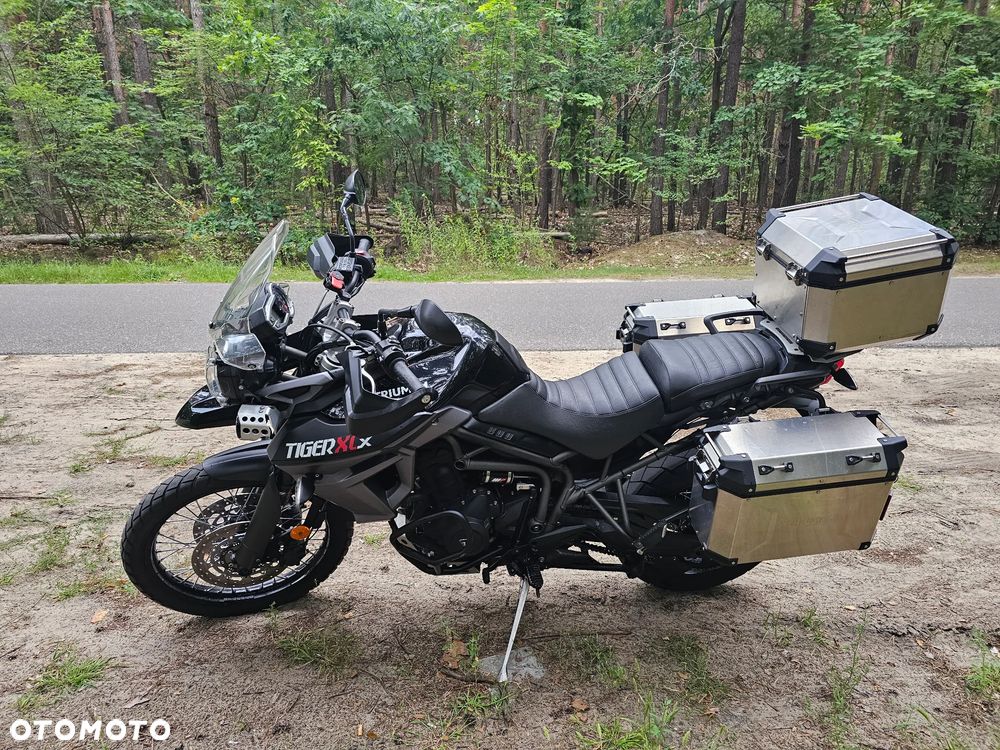 Triumph Tiger - 9