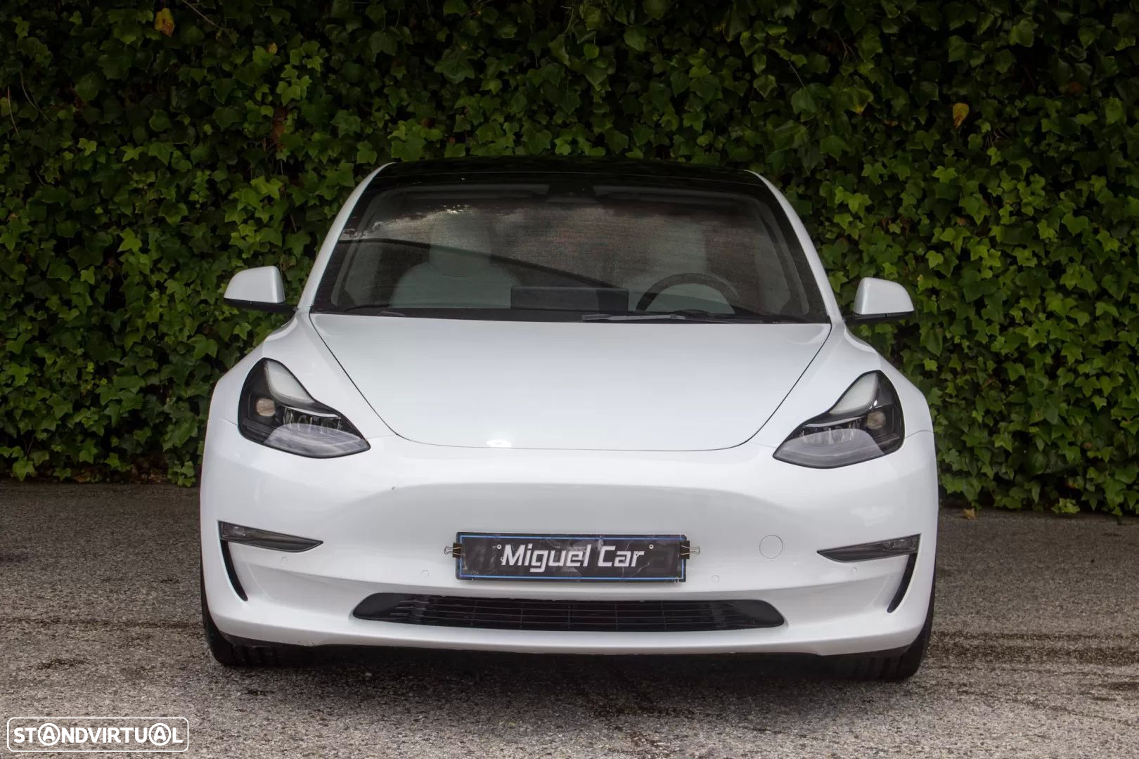 Tesla Model 3 Performance Tração Integral - 2