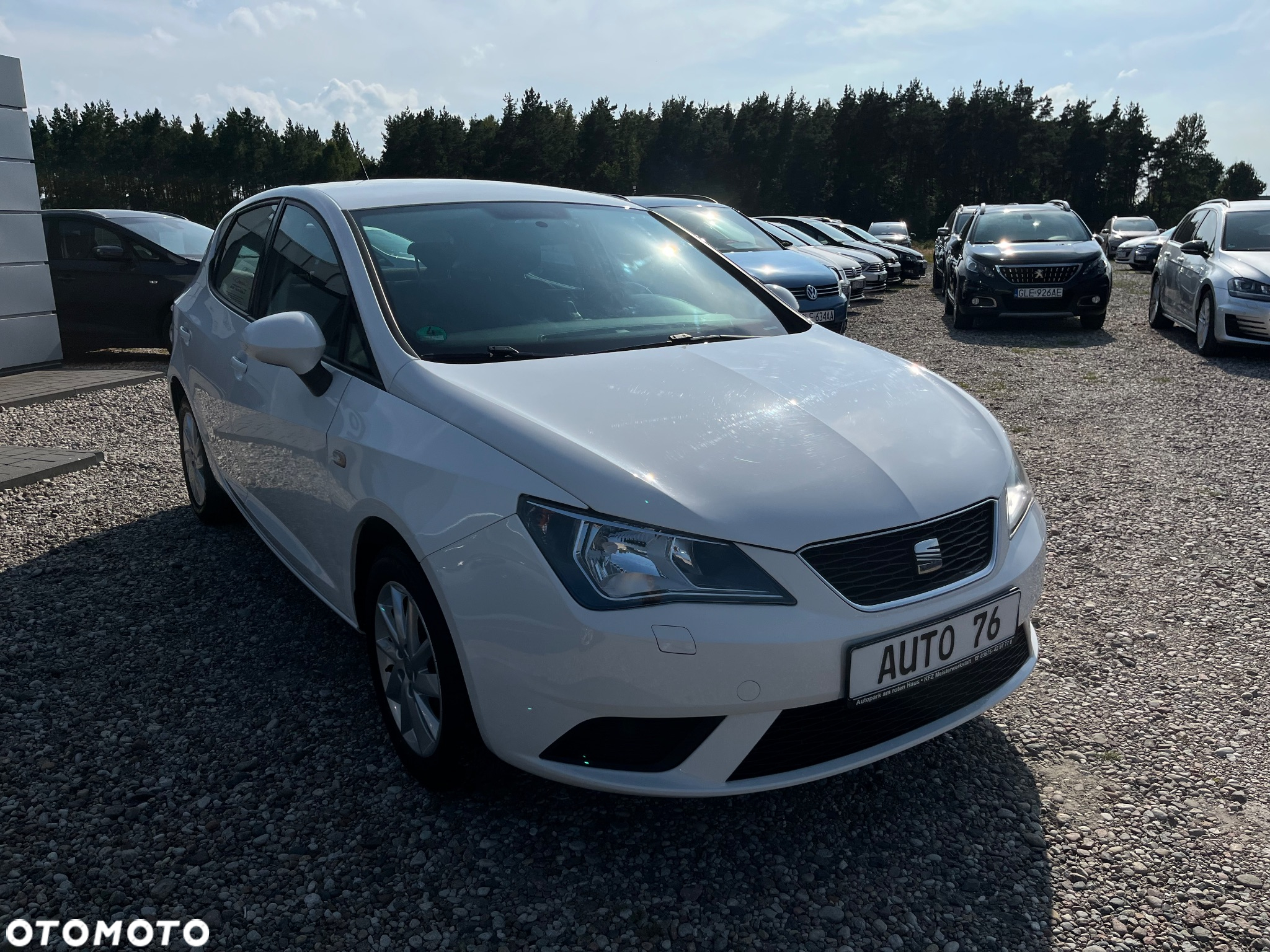 Seat Ibiza 1.2 12V Passion - 6