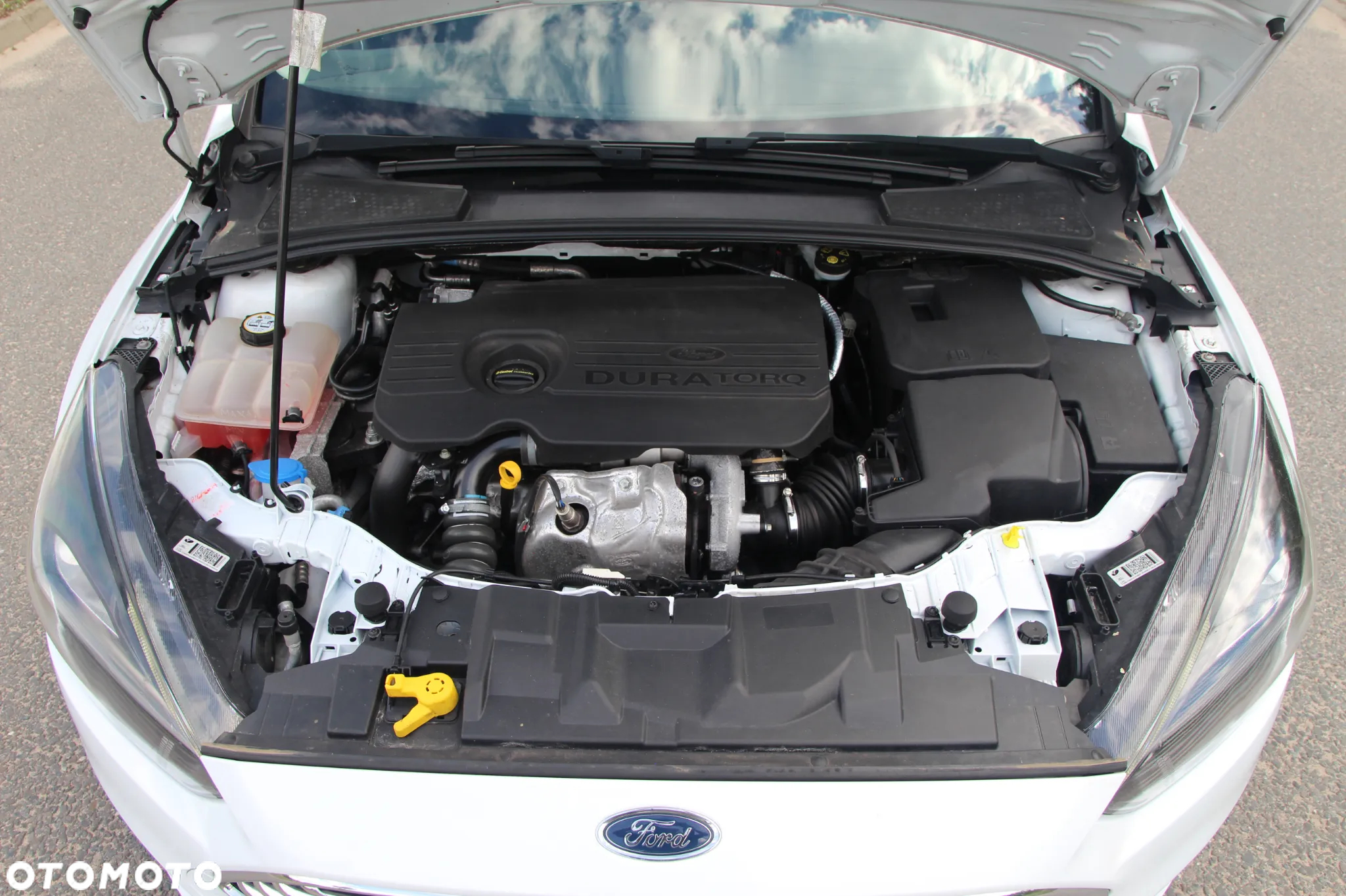 Ford Focus - 37