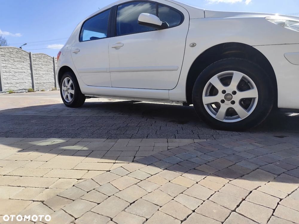 Peugeot 307 1.6 HDI Trendy - 15