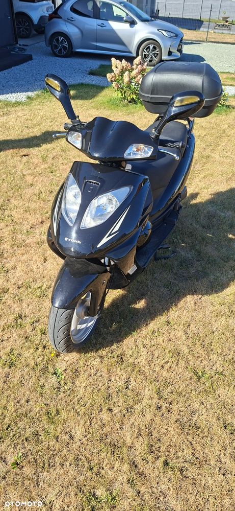 Torq Moko - 7