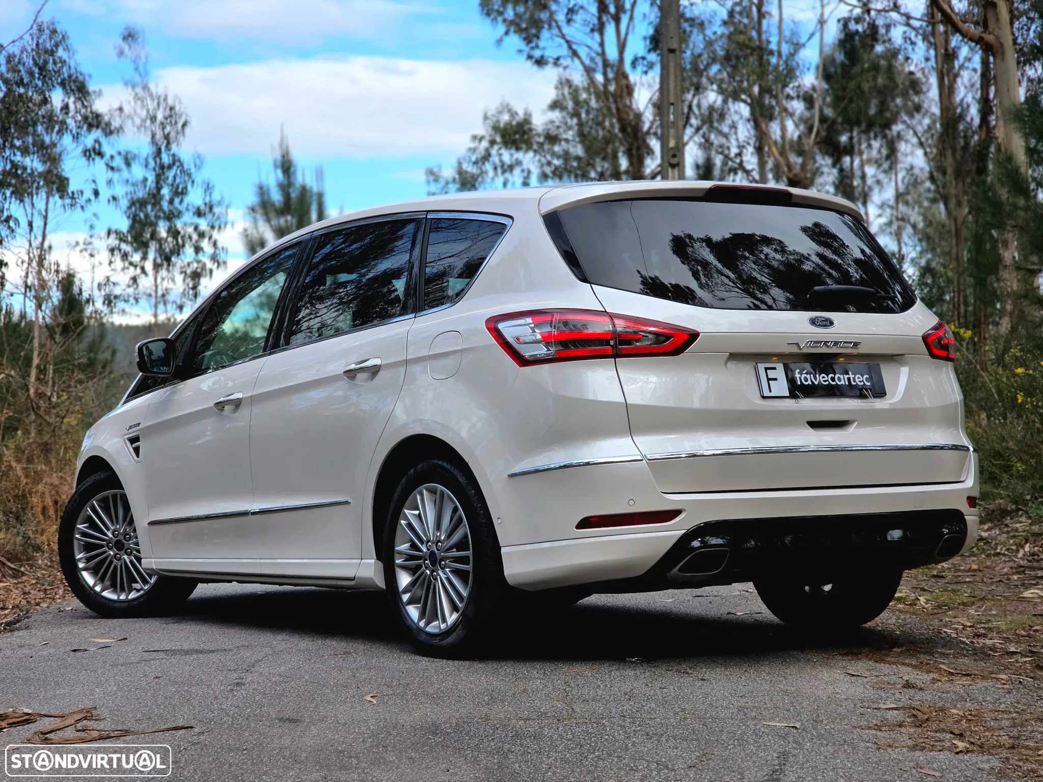 Ford S-Max 2.0 TDCi Vignale Powershift - 24