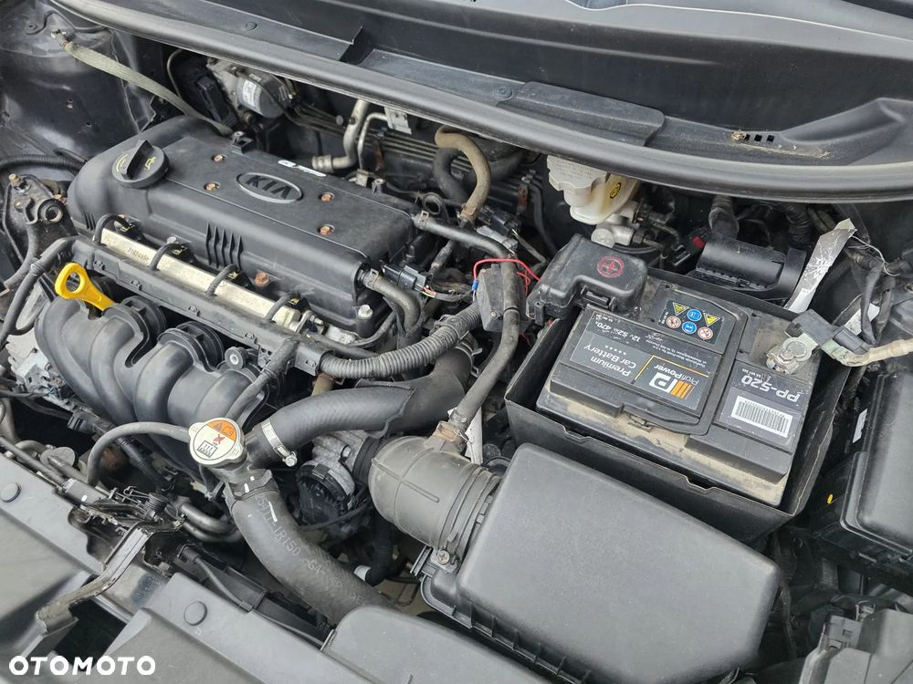 Kia Rio 1.4 Dream Team Edition - 19