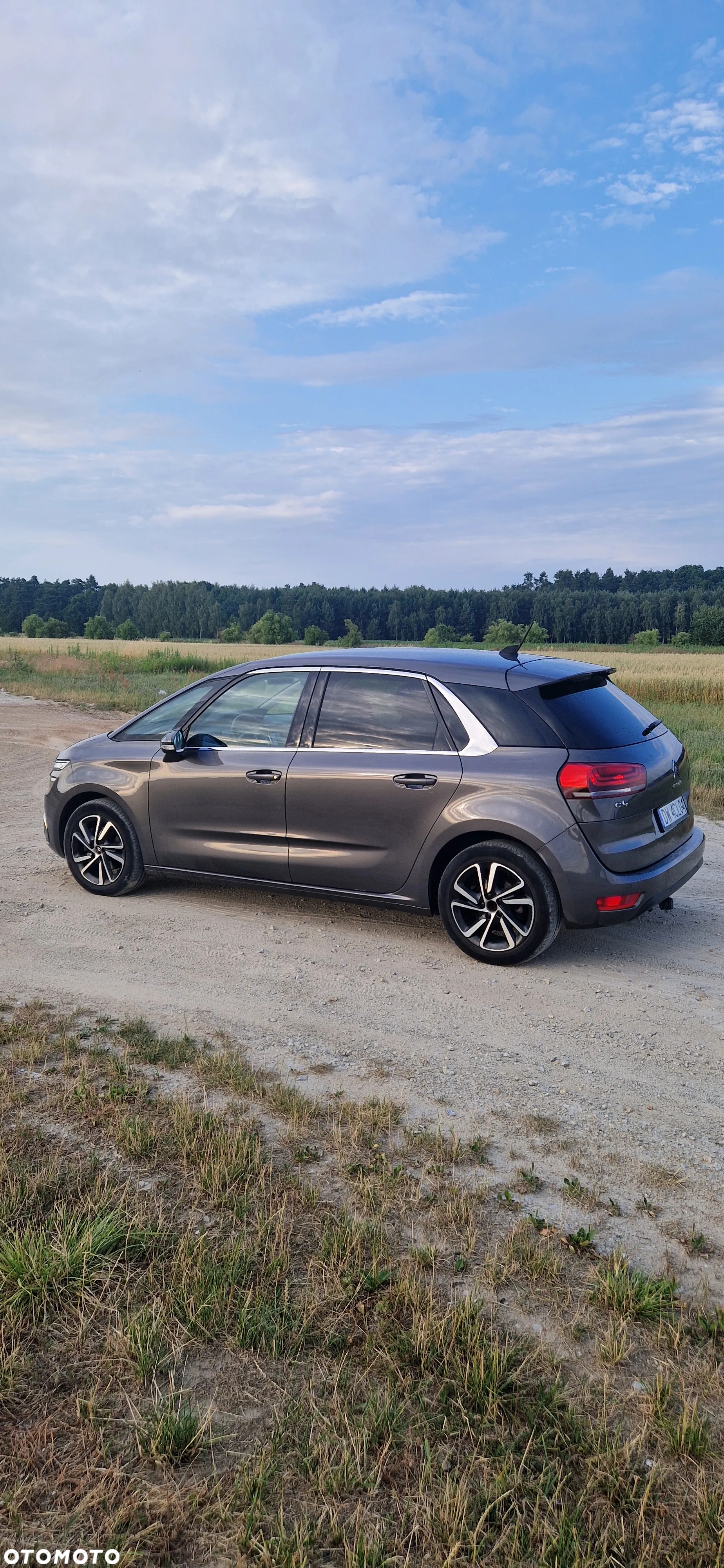 Citroën C4 Picasso - 7