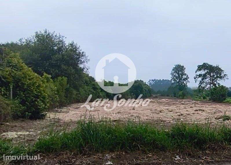 Terreno em Apúlia - Grande imagem: 3/14