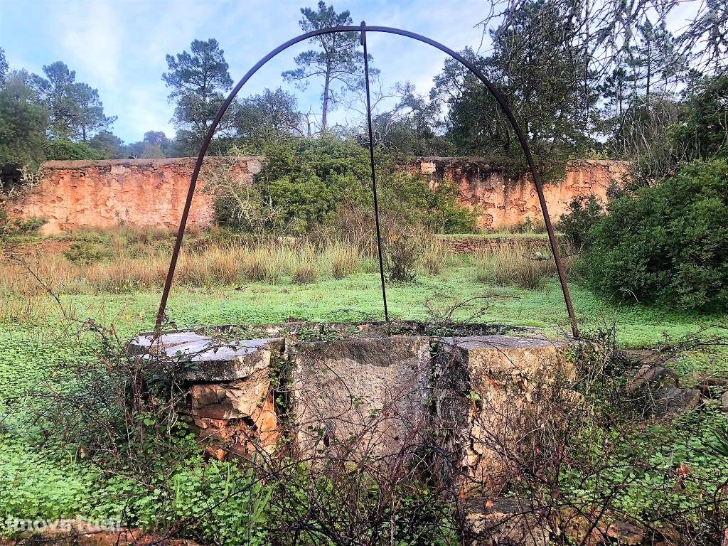 Ruina com terreno, São Brás de Alportel, Algarve - Grande imagem: 4/17