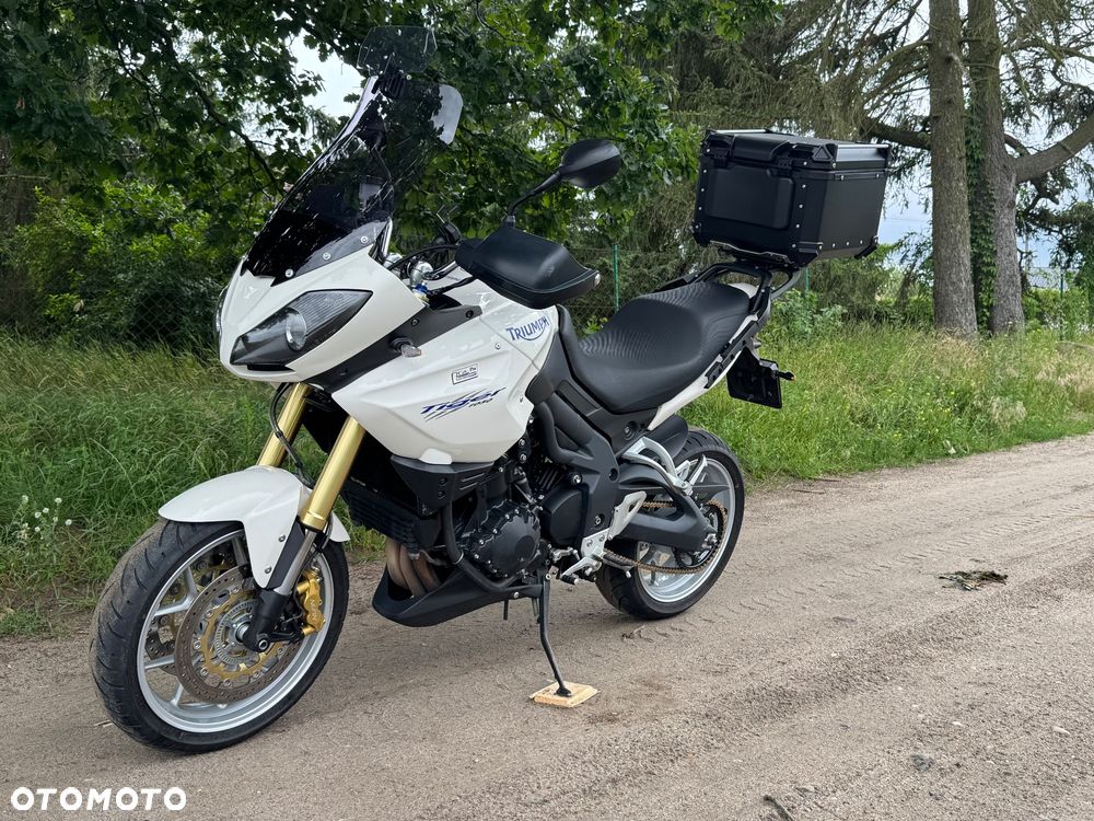 Triumph Tiger - 19