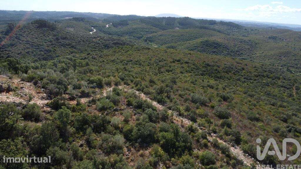 Terreno em Freixianda, Ribeira do Fárrio e Formigais de 15939,00 m2 - Grande imagem: 2/17