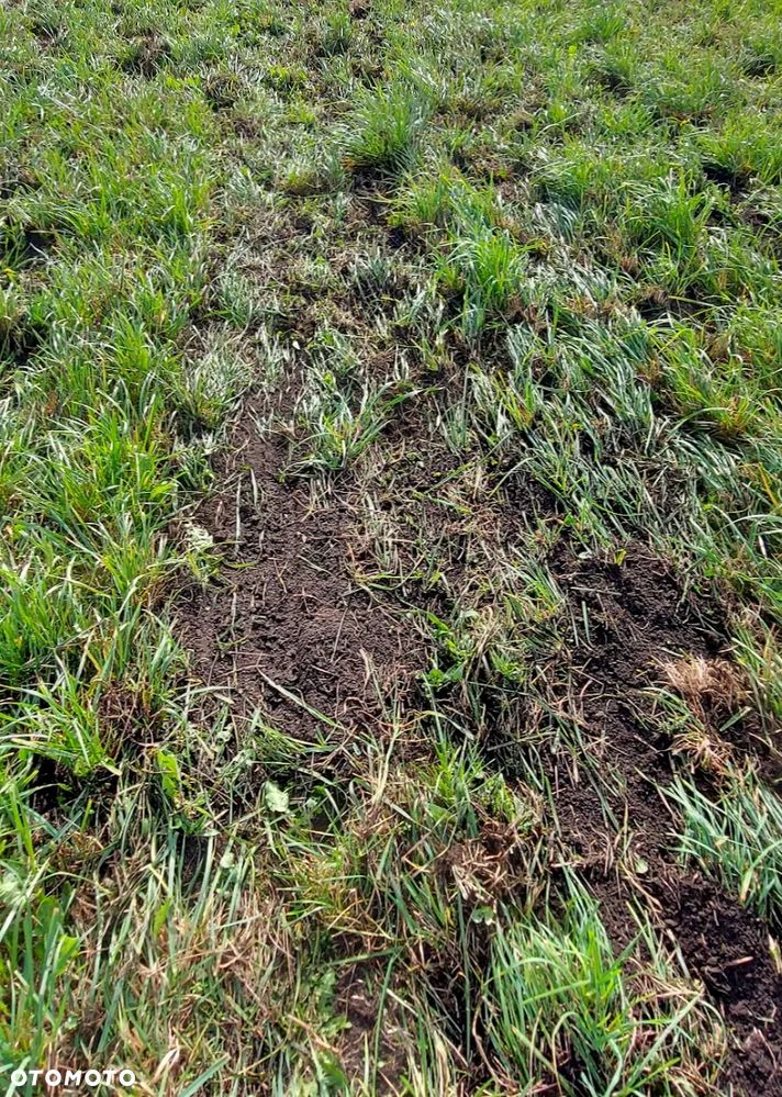 CARRE Prairial 3m - 11