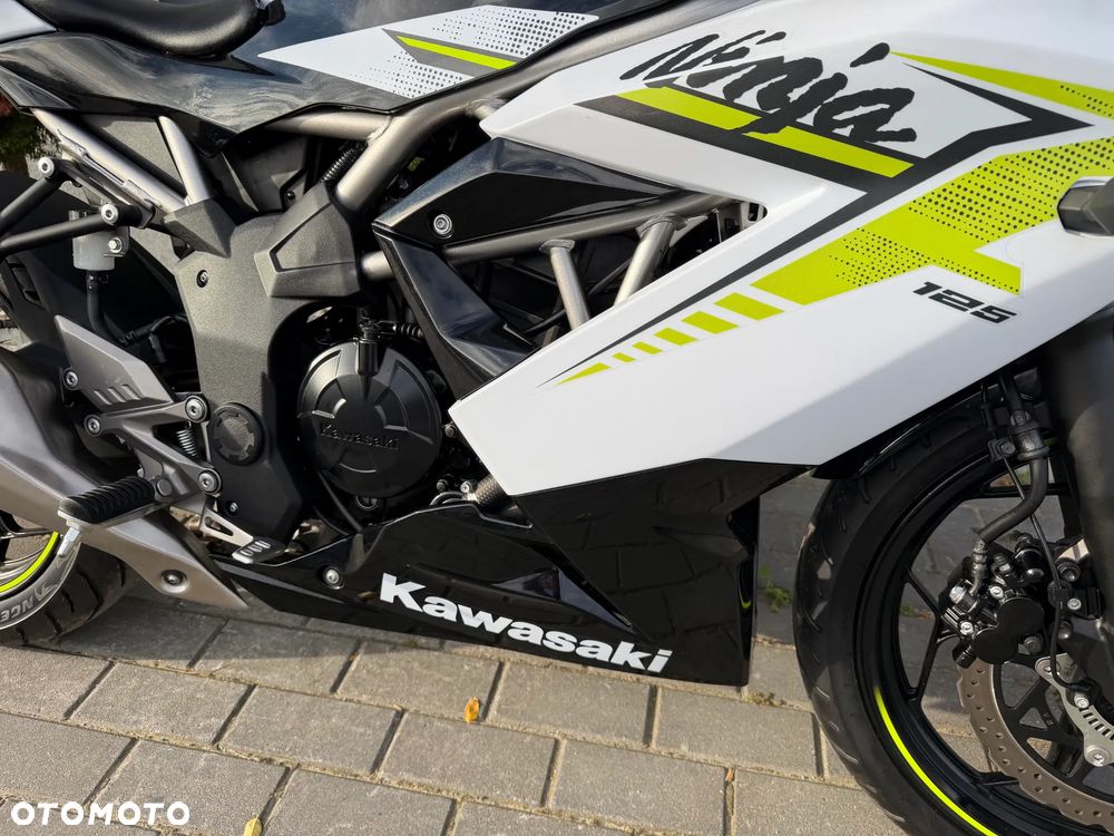 Kawasaki Ninja - 14