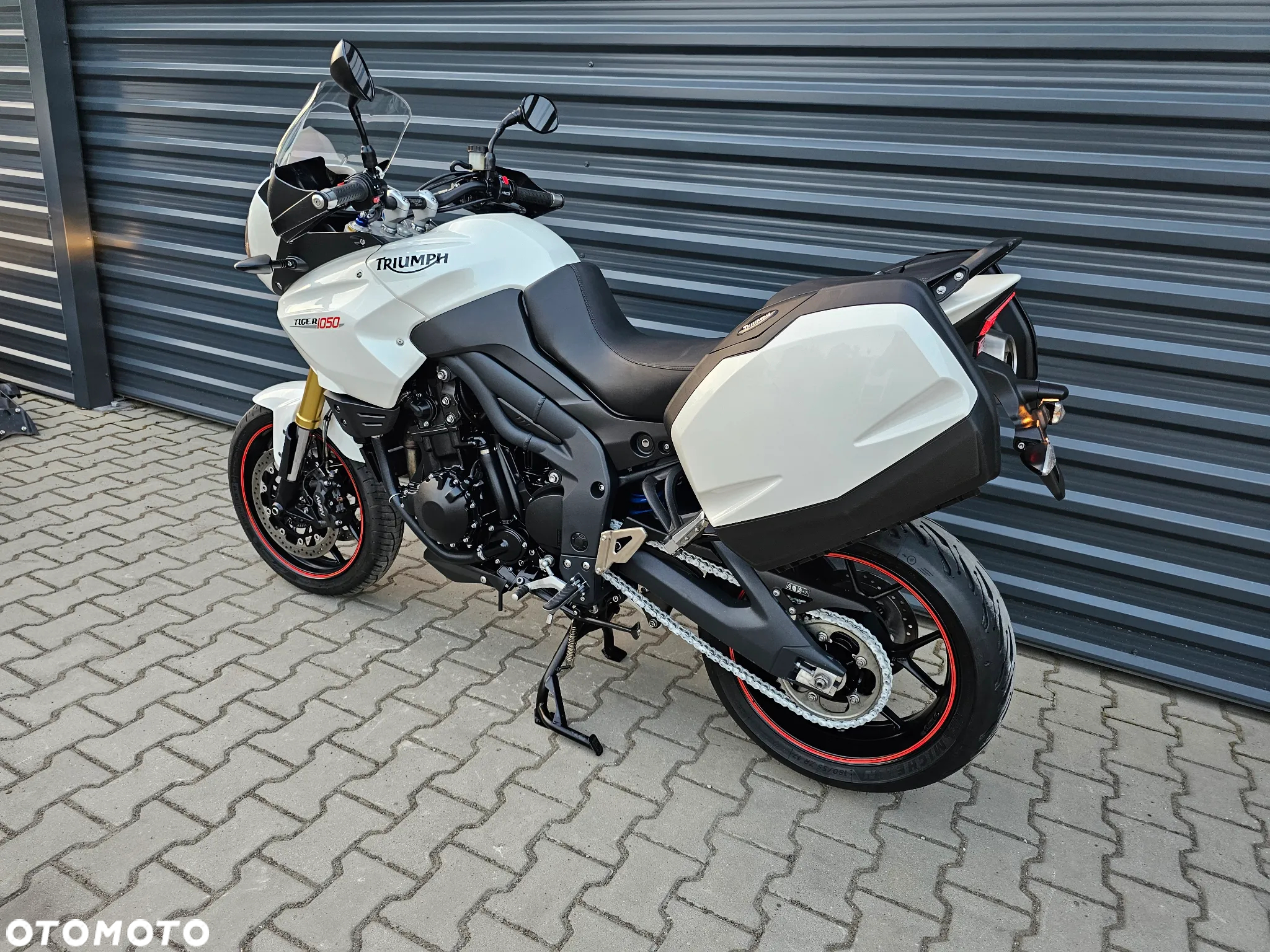Triumph Tiger - 6