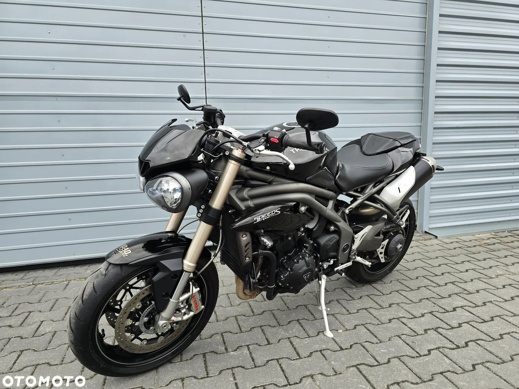 Triumph Speed Triple - 17