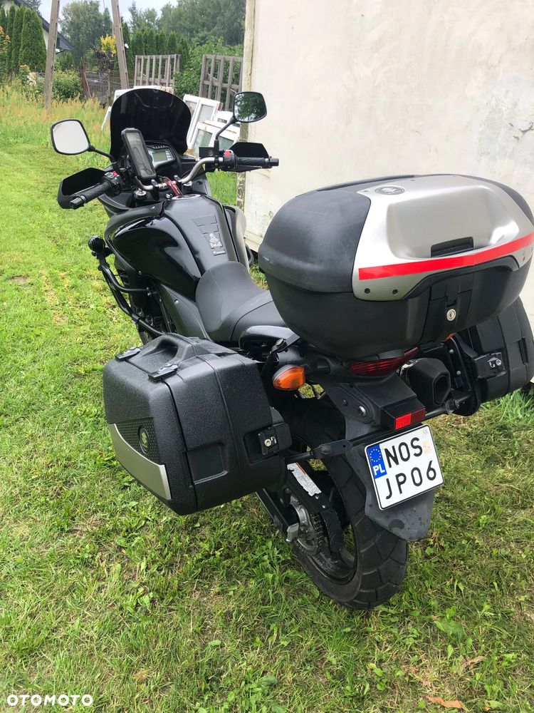 Suzuki DL - 14