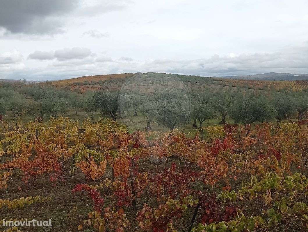 Terreno  para venda - Grande imagem: 5/12