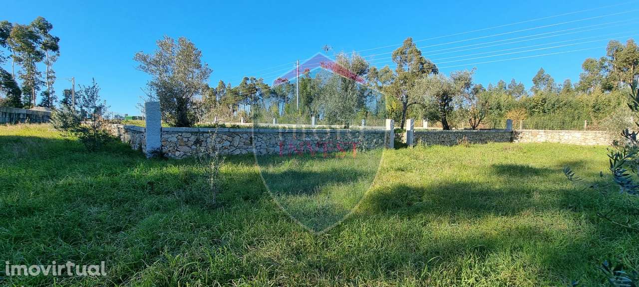 Quinta  Venda em Rio de Loba,Viseu - Grande imagem: 5/10