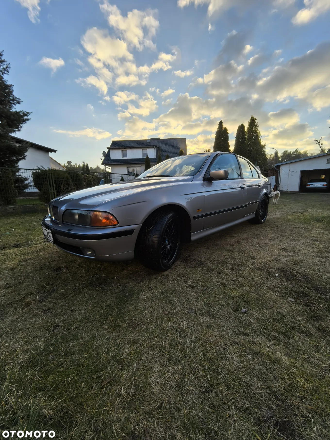BMW Seria 5 - 4
