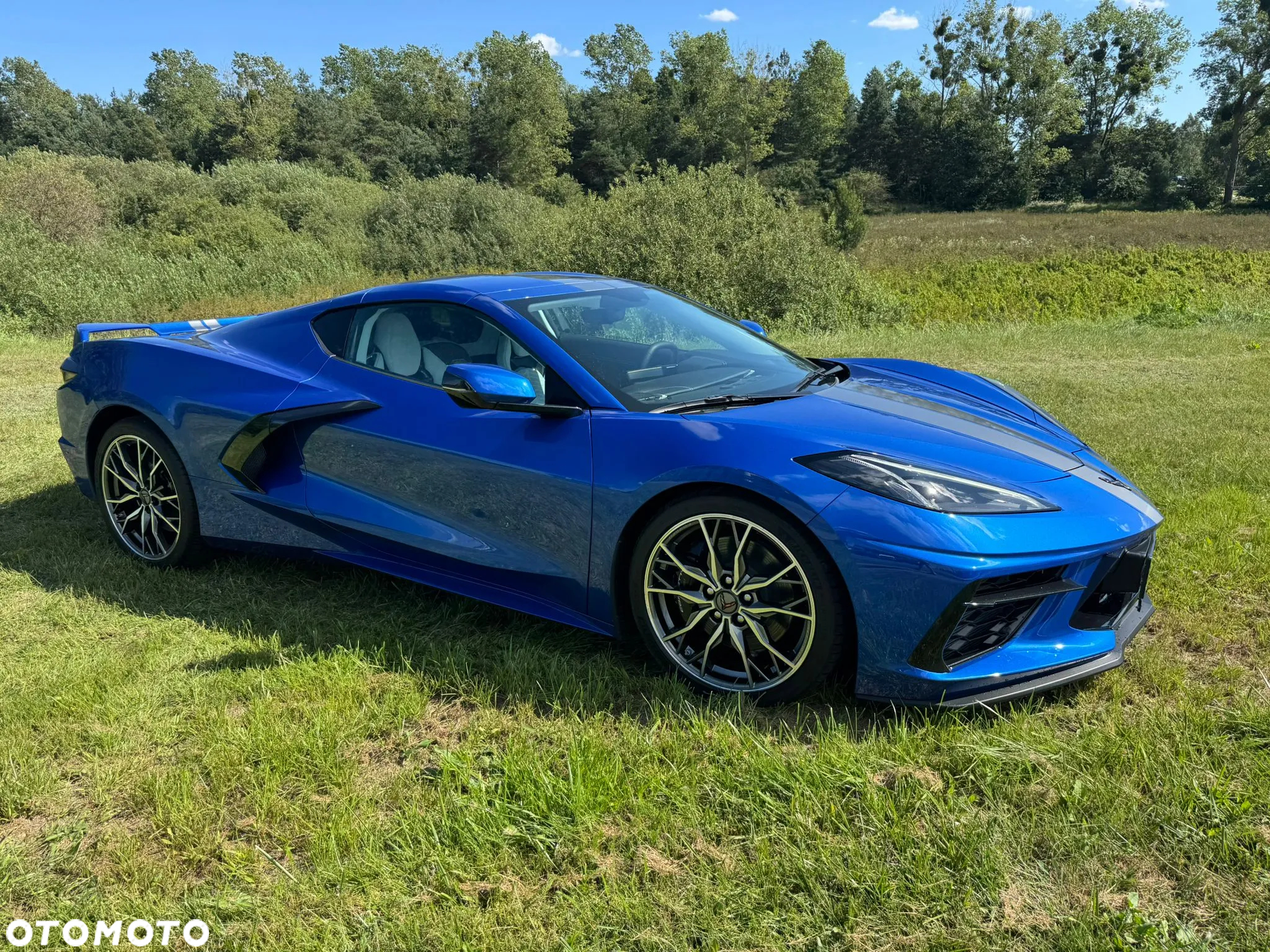 Chevrolet Corvette - 6