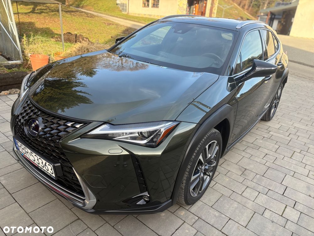 Lexus UX 250h Prestige 2WD - 4