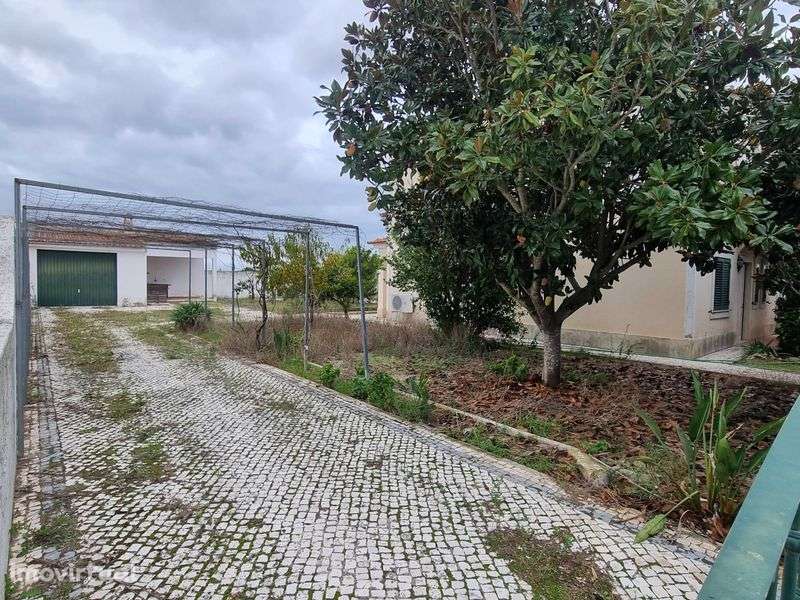 Moradia T4 Duplex Almeirim - Grande imagem: 4/11