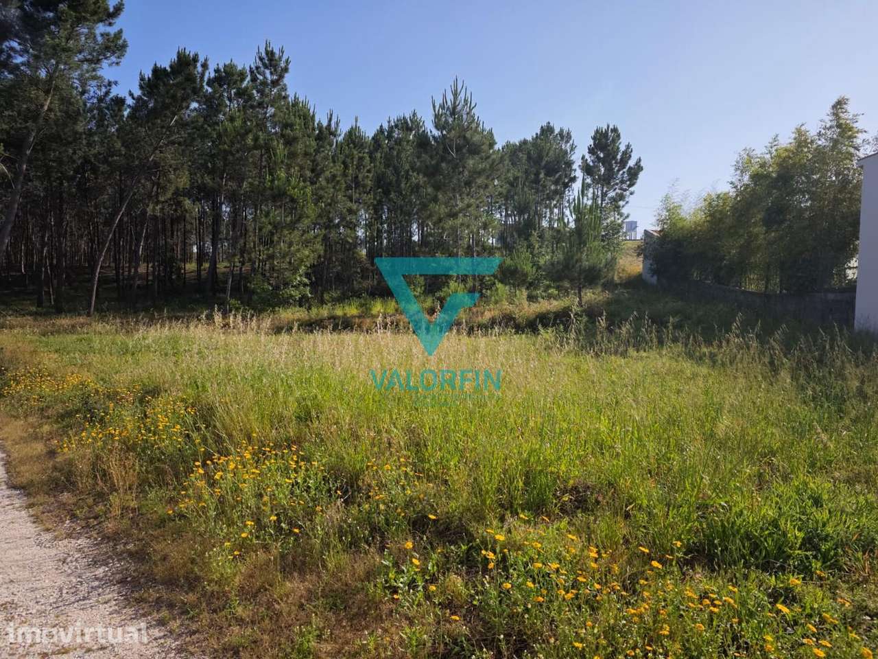 Terreno - Bidoeira de Cima, Leiria - Grande imagem: 3/7