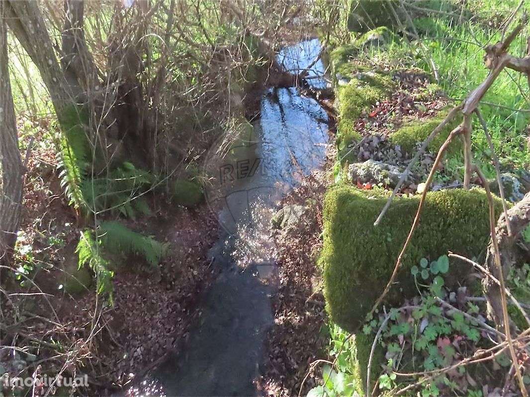 Quinta  para venda - Grande imagem: 3/36