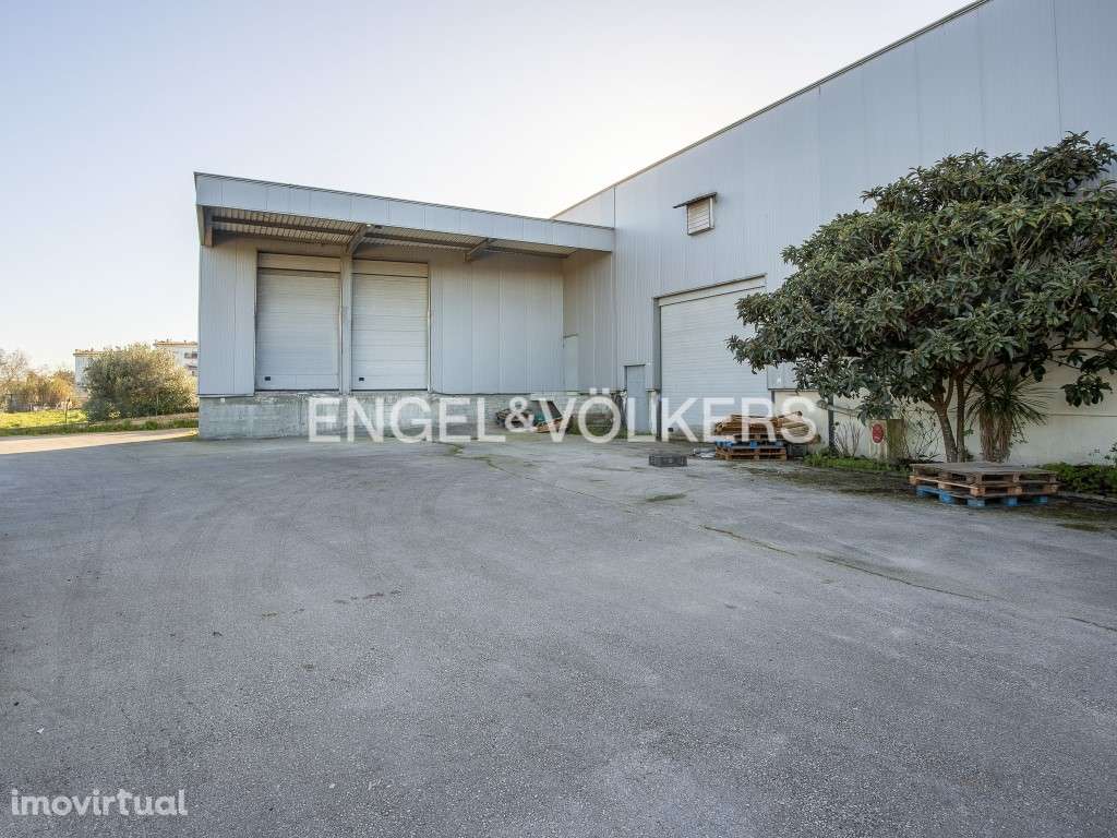 Fábrica/Armazém de Produtos Alimentares Para Venda - Grande imagem: 3/26