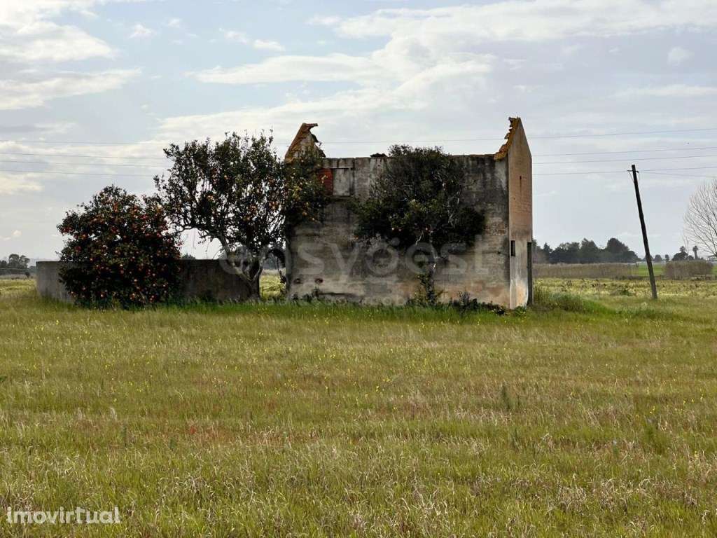 Terreno com 22400m com Construção, Poço e Eletricidade - Grande imagem: 4/17