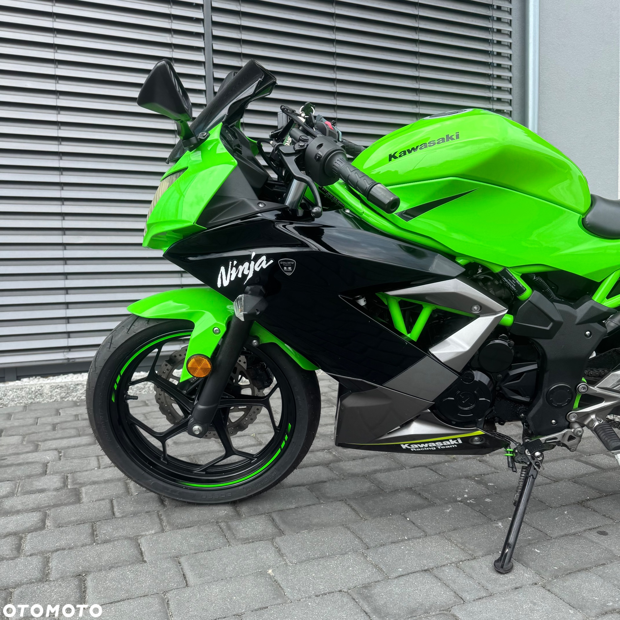 Kawasaki Ninja - 10