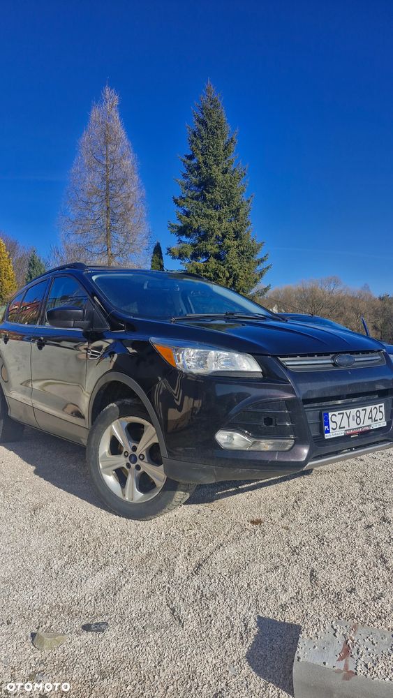 Ford Escape - 4
