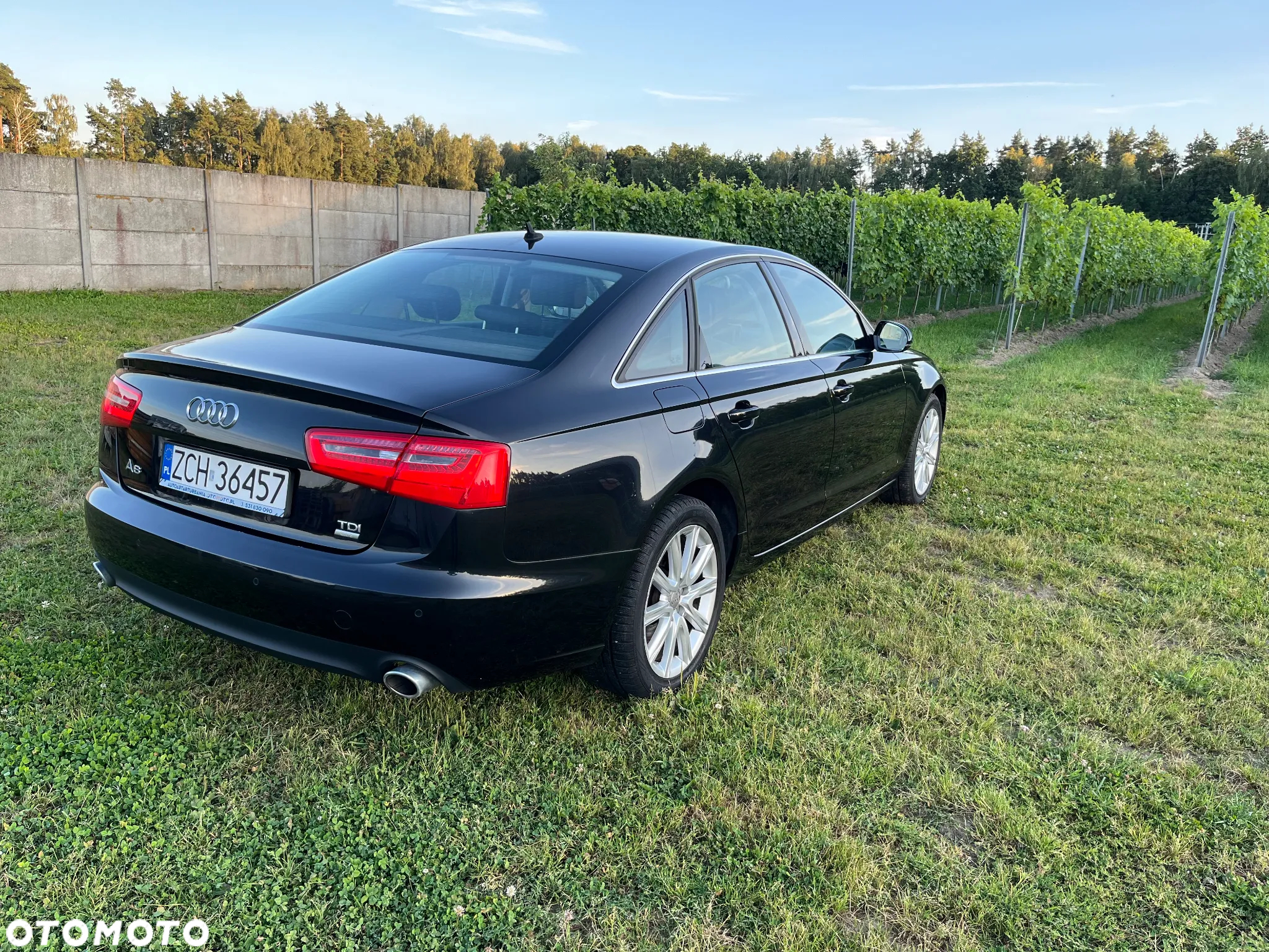 Audi A6 - 4