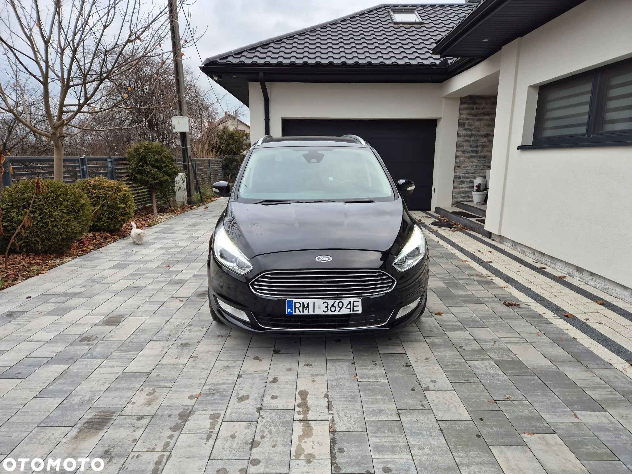 Ford Galaxy 2.0 TDCi 4WD Titanium PowerShift - 1