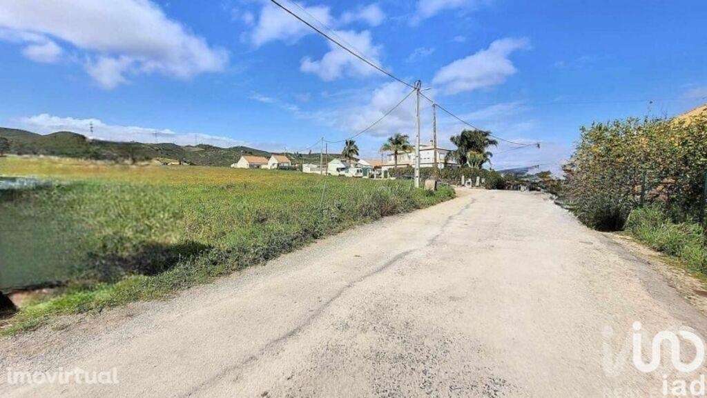 Quinta T4 em Alcantarilha e Pêra de 732 m2 - Grande imagem: 2/29