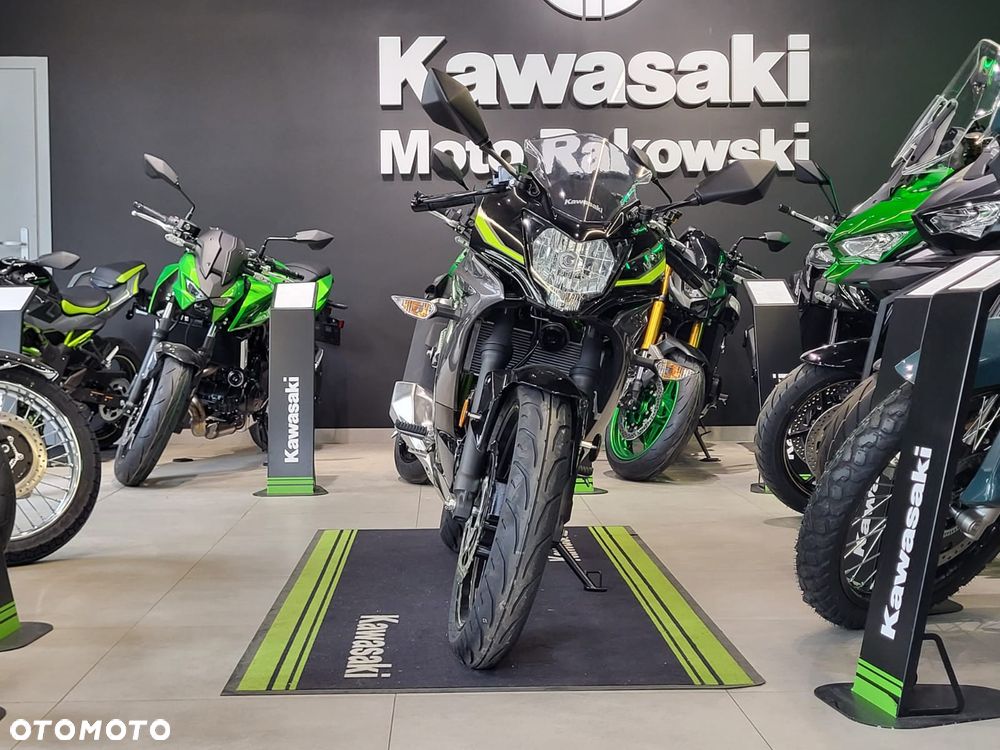 Kawasaki Ninja - 4