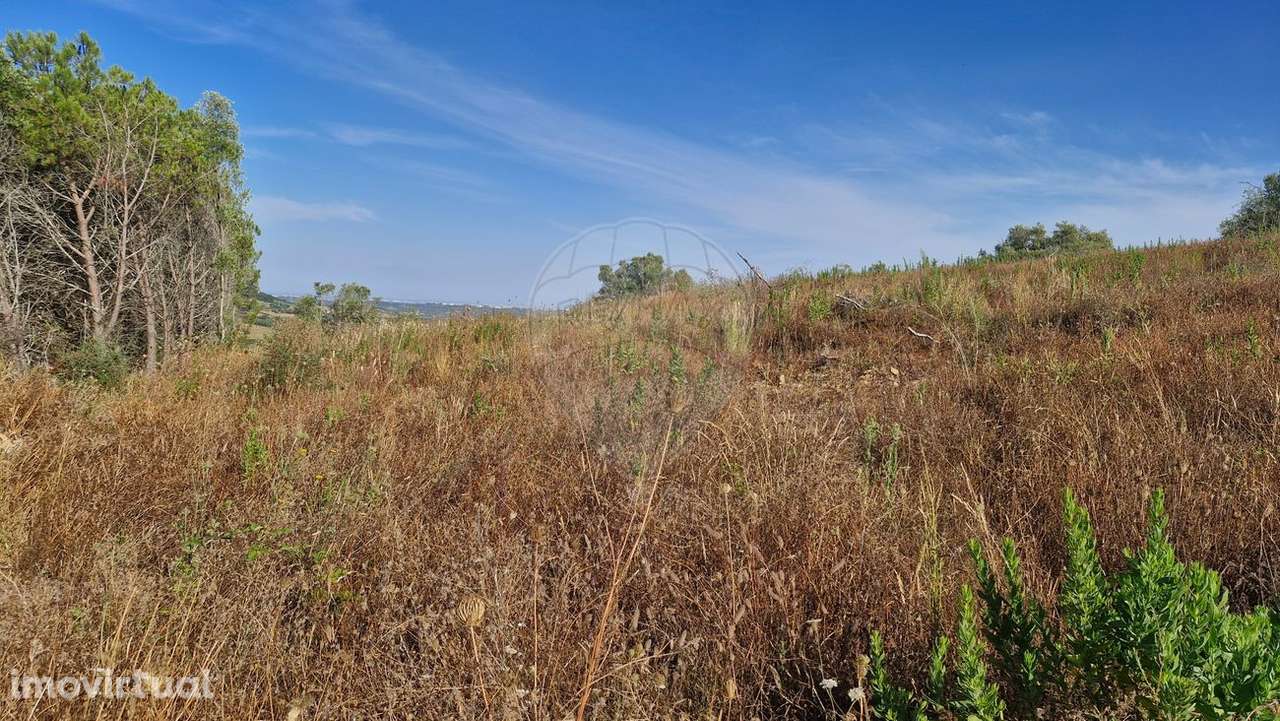 Terreno  para venda - Grande imagem: 4/20