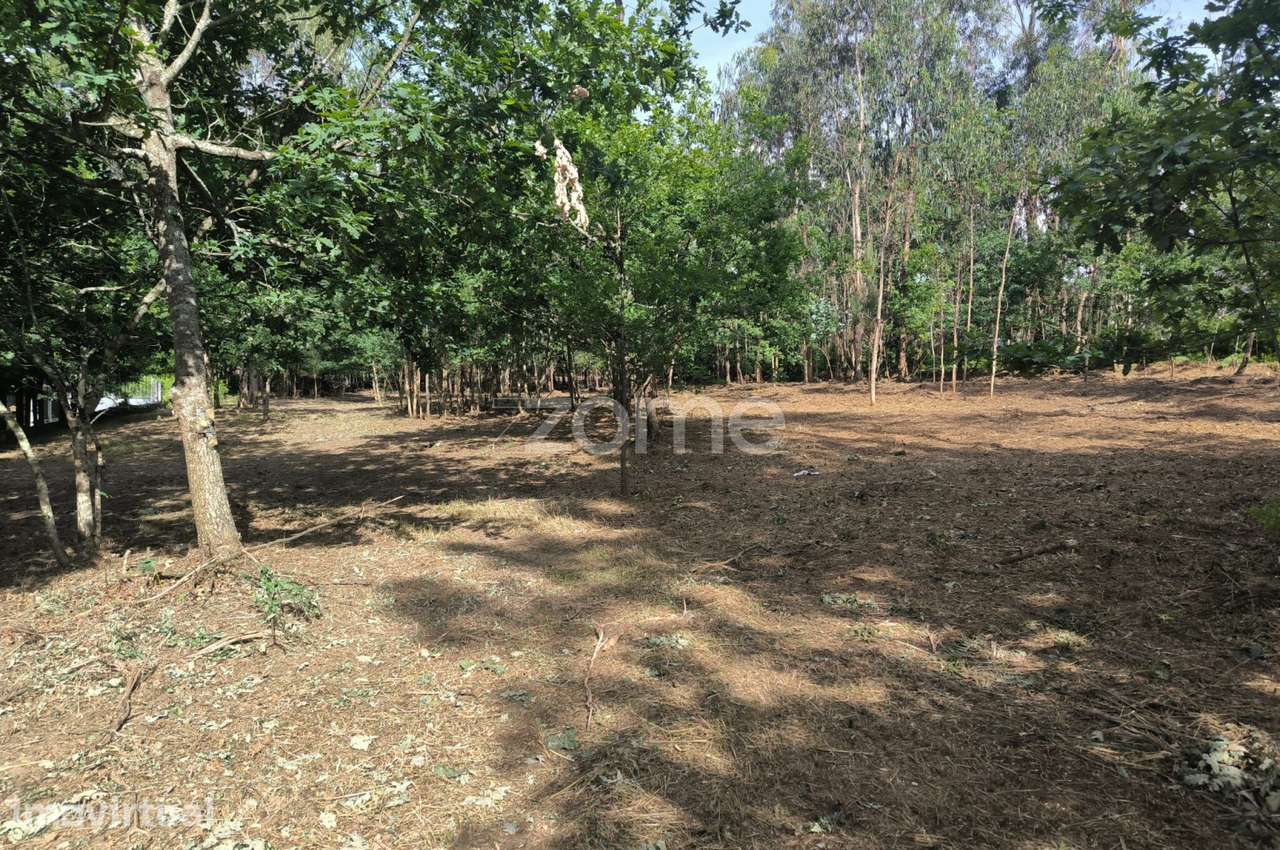 Terreno Urbanizável Amares - Braga - Grande imagem: 4/19