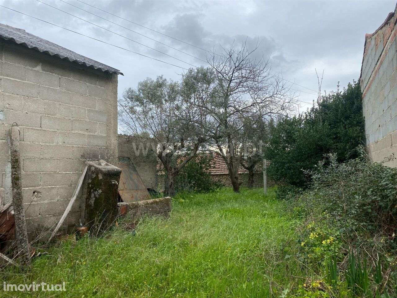 Quintinha T1 / Fundão, Atalaia do Campo - Grande imagem: 4/12