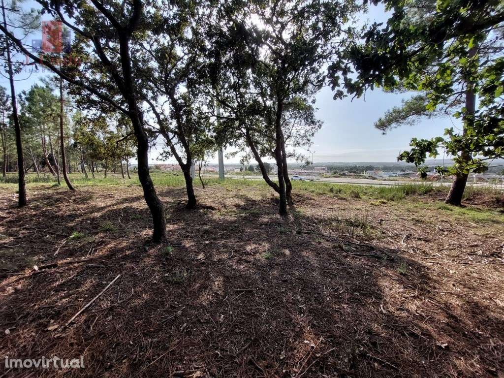 Terreno tipo quintinha, Caldas da Rainha - Grande imagem: 4/13